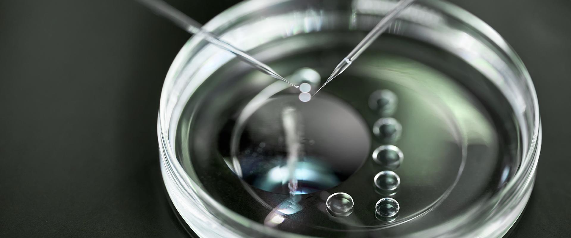 Clinical evidence banner promoting IVF fertility success