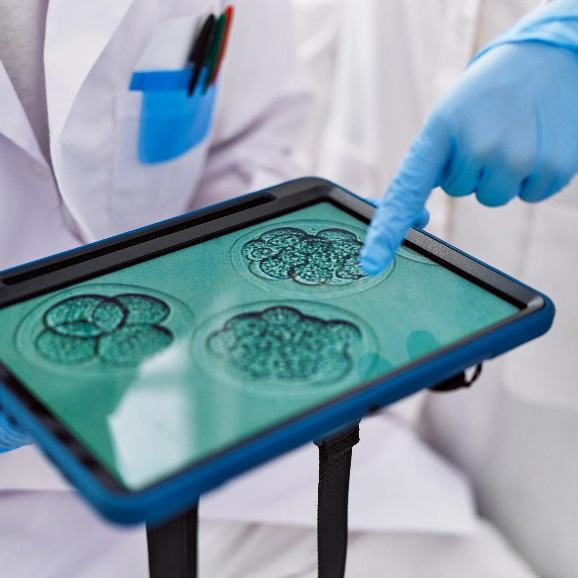 Fertility-related lab microscope image