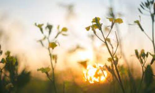 A 24-Hour Shift, A New Beginning