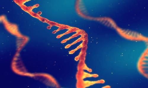 microRNAs, Messenger RNAs, and their Diagnostic Value