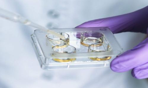 pH (Acid/Base): IVF Lab 101 with Dr. Barry Behr