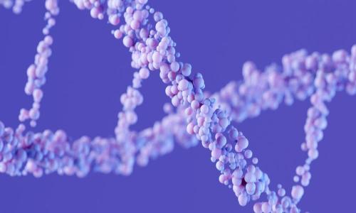 miRNA Primer: Gene Expression