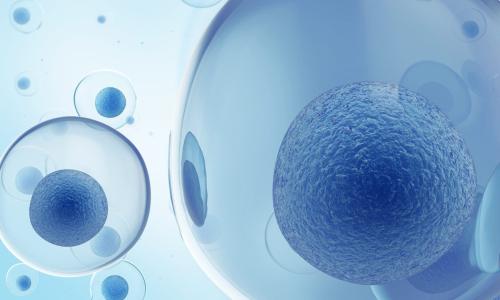 What is miRNA? Understanding the Science Behind ORA™