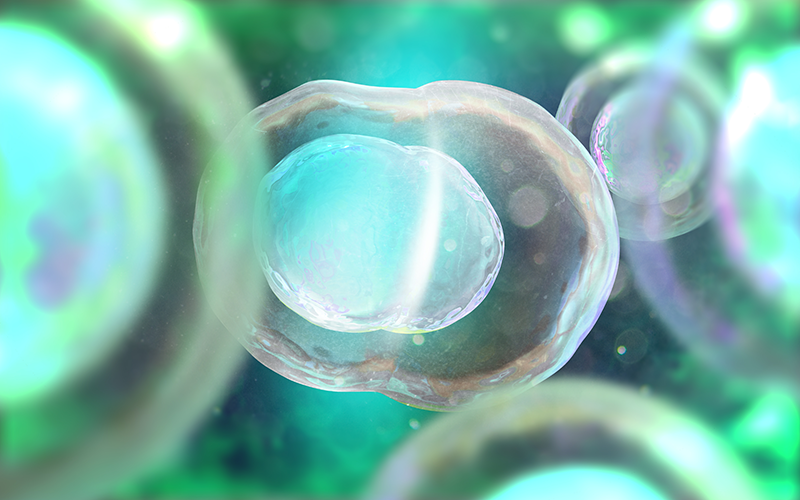 Improved Overall Blastocyst Utilization RateThe total number of blastocysts and...