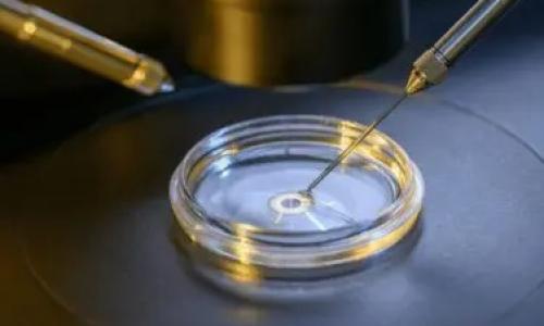 Maintaining IVF Culture Conditions: IVF Lab 101 with Dr. Barry Behr