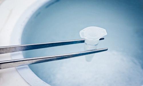 7 Things You Should Know if You’re Freezing Your Eggs