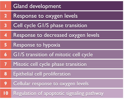 Biological Process Chart