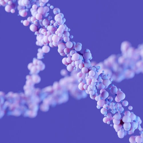 miRNA Primer: Gene Expression